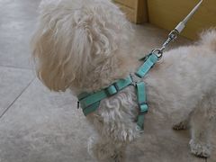 -美联众合动物医院·24h转诊中心