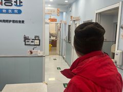 -纳吉亚猫专科动物诊疗中心(蒋宅口分院)