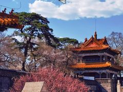 -沈阳市东陵公园