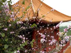 -南沙天后宫景区