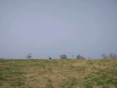 -汉长安城未央宫国家考古遗址公园