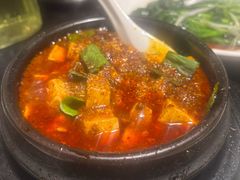 -陈麻婆豆腐总店