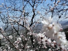 android_upload_pic-北京鹫峰国家森林公园