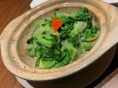有机时令蔬菜-觅唐MITONG(鸟巢店)