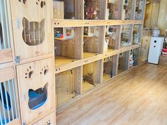 -喜狗宠物生活馆(岳州路店)