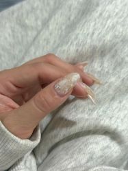 -美画·轻奢美甲美睫