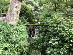 -岳麓山风景名胜区