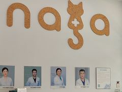 -纳吉亚猫专科动物医院·北北分院