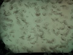 -沈阳海洋探索中心