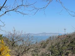 -棒棰岛宾馆景区