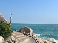 -广东惠东海龟国家级自然保护区