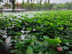 -长春市南湖公园