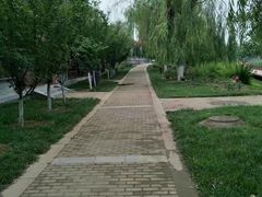 -绿堤公园