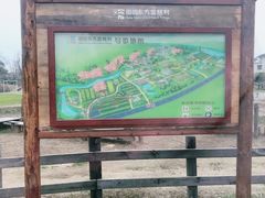 -田园东方蜜桃村的田野营地