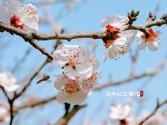 -堤角公园