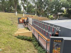 -马王堆汉墓遗址