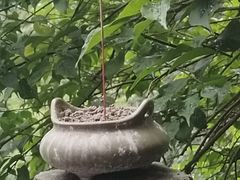 -韬光茶庵