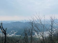 -岳麓山风景名胜区