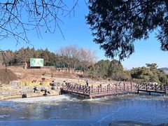 -北京西山国家森林公园