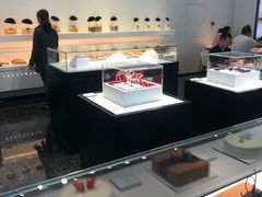 -BLACKSWAN黑天鹅(环球店)