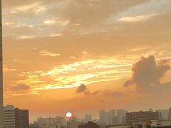 -M.S拳击泰拳馆(大学路店)
