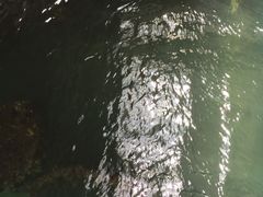 -夏威夷珍珠港