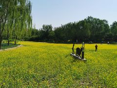 -北坞公园