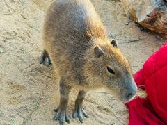 -茅山东方盐湖城景区