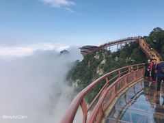 -少华山国家森林公园