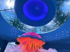 -南昌融创海世界