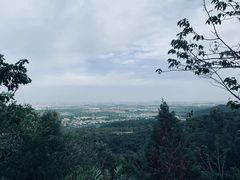 -北京西山国家森林公园