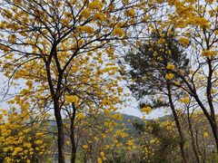 -中国移动南方基地