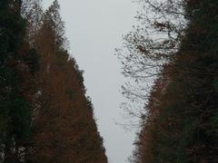 -山王坪喀斯特国家生态公园