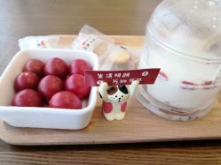 -ANNIL安奈尔·NASX超透白·科技抗衰·问题性肌肤管理