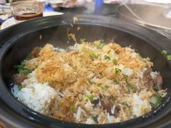 -南海鸽天下(肇庆店)