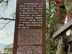 -平乐古镇
