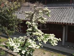 -雪峰寺