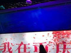 -重庆欢乐海底世界