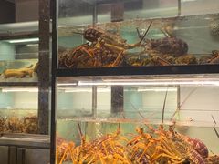 水产区-甄御•海鲜新青岛菜(麦岛店)