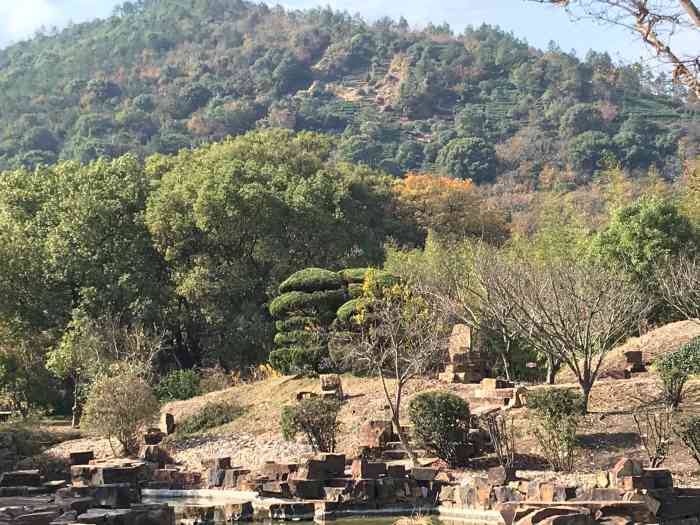 苏州古樟植物园