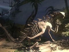 -自贡恐龙博物馆