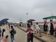 -碧海金沙