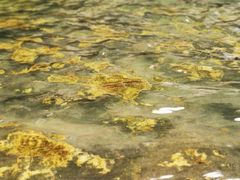 -华蓥山天意谷景区