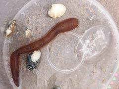 -天津东疆湾沙滩景区