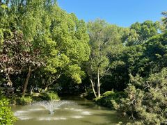 -上海醉白池公园