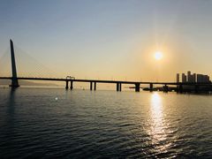 -宝安西湾红树林湿地公园