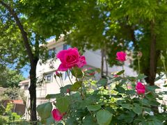 -天津五大道文化旅游区