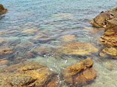 -西涌国际滨海旅游区