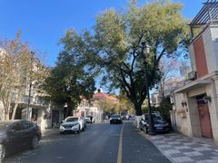 -天津五大道文化旅游区