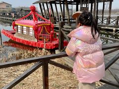 -溱湖国家湿地公园